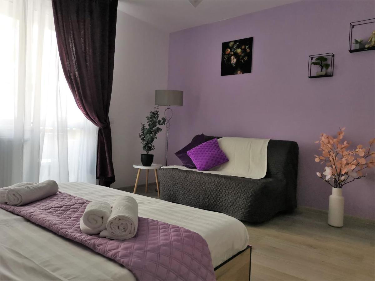 Apartment Adelina 布拉索夫 外观 照片