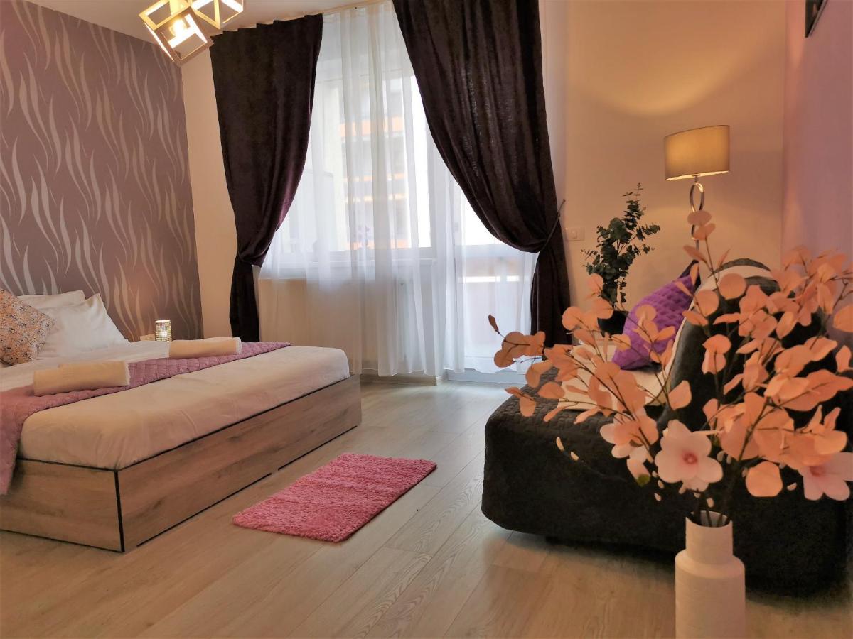 Apartment Adelina 布拉索夫 外观 照片