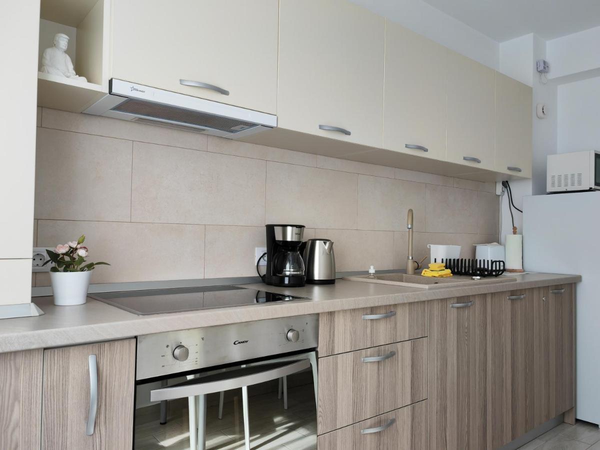 Apartment Adelina 布拉索夫 外观 照片