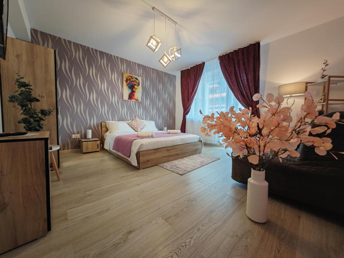 Apartment Adelina 布拉索夫 外观 照片