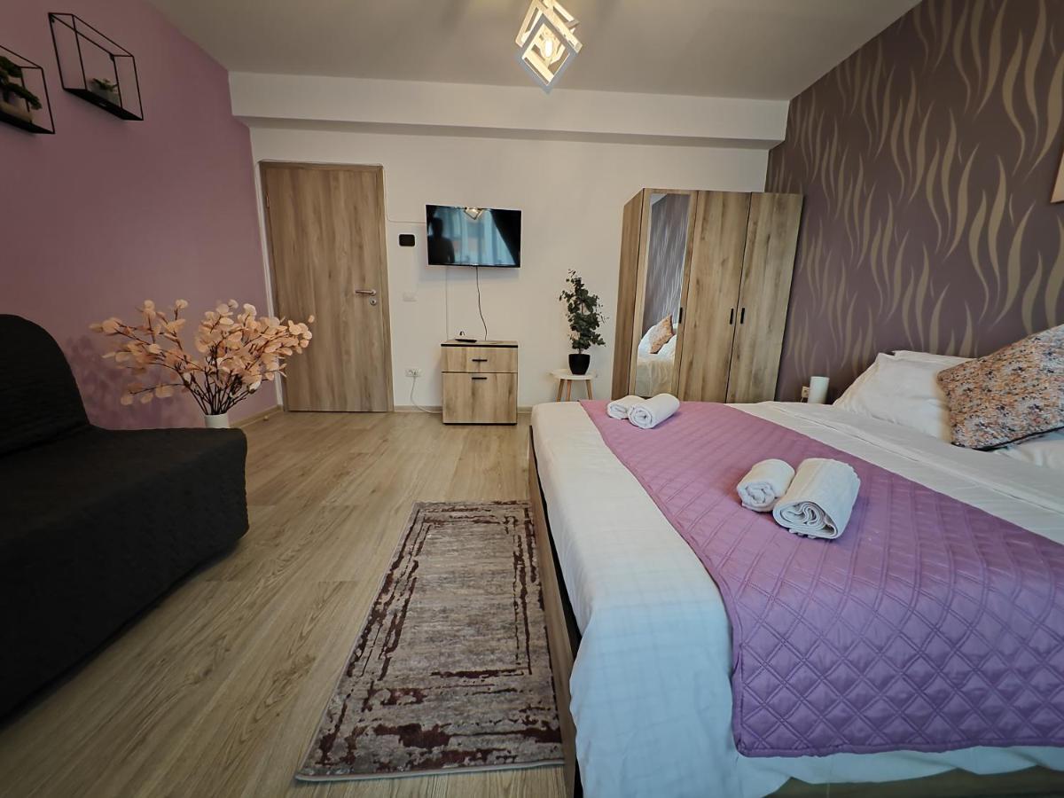 Apartment Adelina 布拉索夫 外观 照片