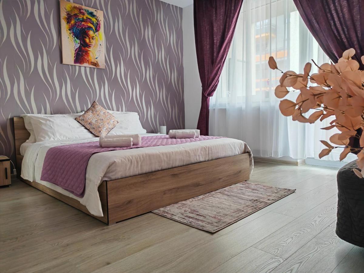 Apartment Adelina 布拉索夫 外观 照片
